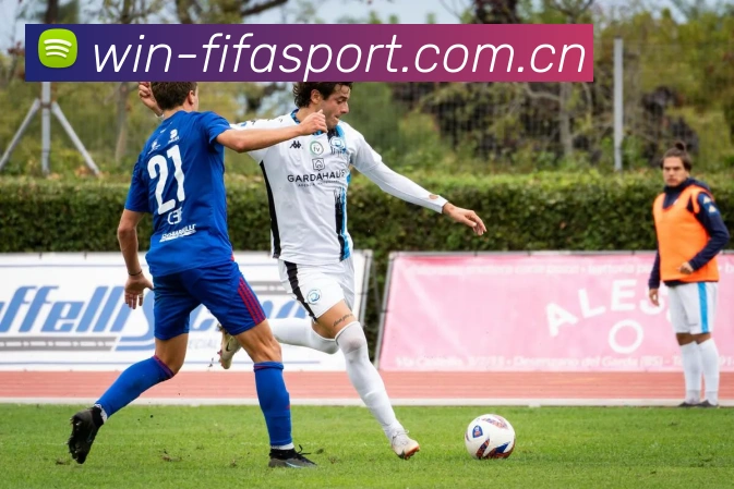FIFA 官方数据授权认证